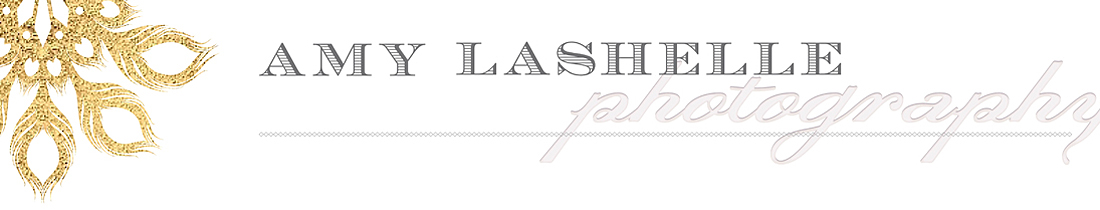 amy lashelle logo