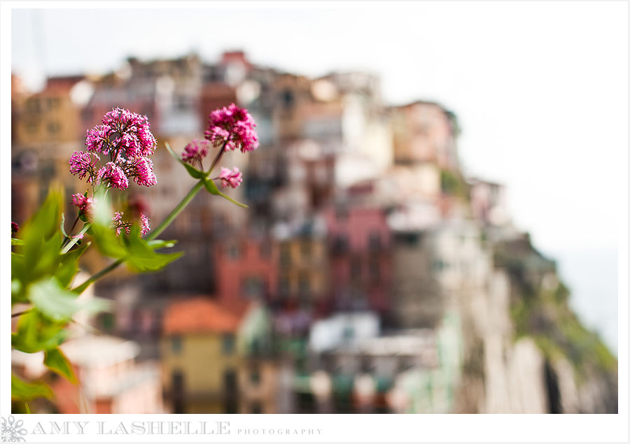 Destination: Italy  Cinque Terre