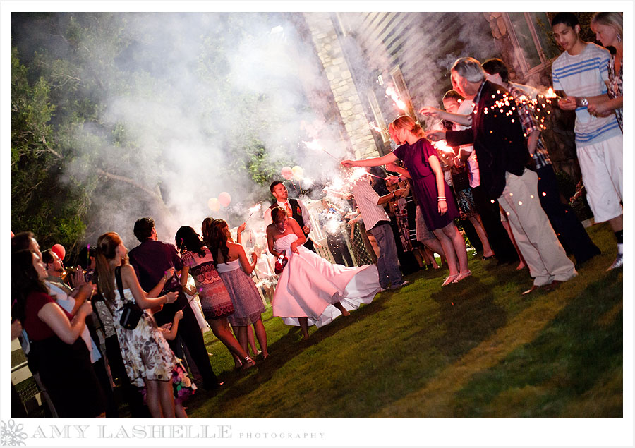 Karissa & Jake : Part 3  Salt Lake City Garden Wedding