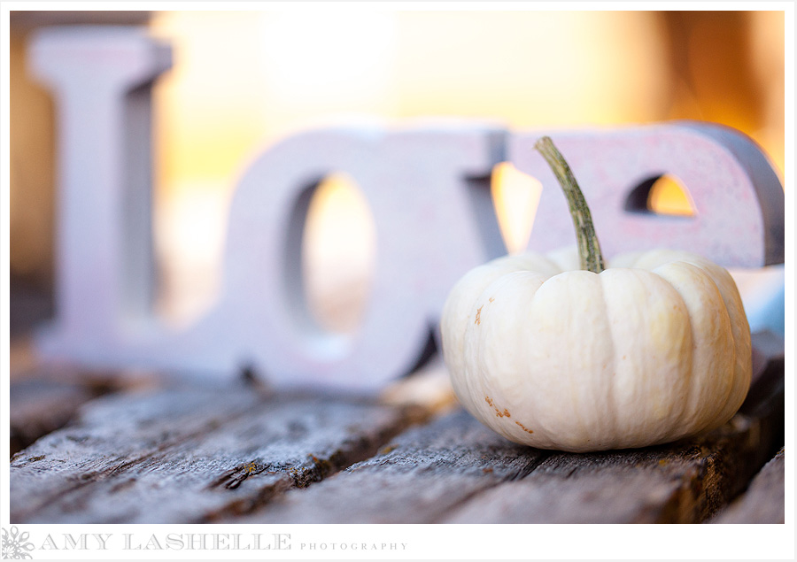 Sneak Peek  Fall Wedding Shoot  Park City, UT