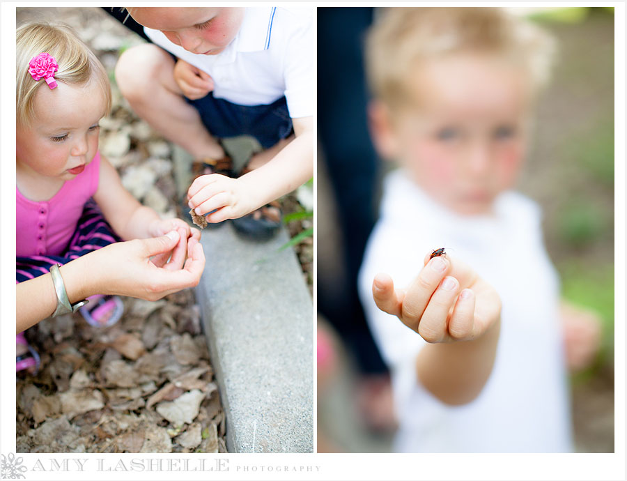 Spring Family Photos, Salt Lake City