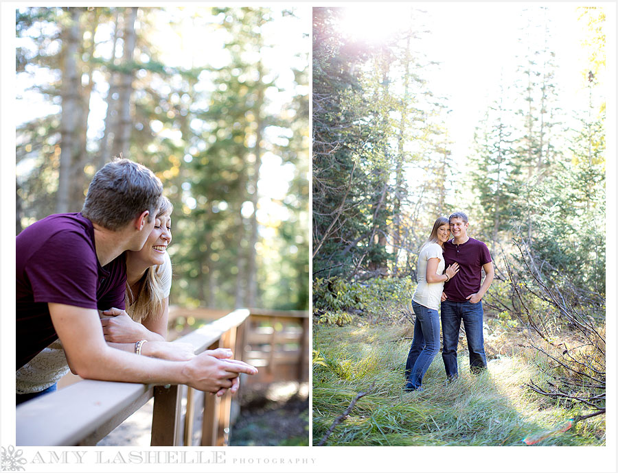 Snowbird Resort Engagement Wedding