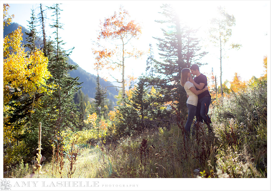 Snowbird Resort Engagement Wedding