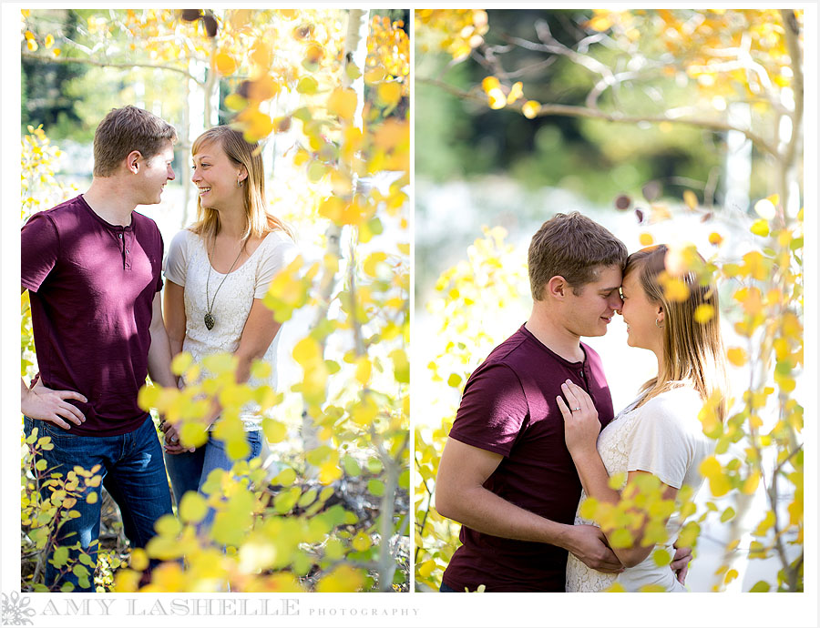 Snowbird Resort Engagement Wedding