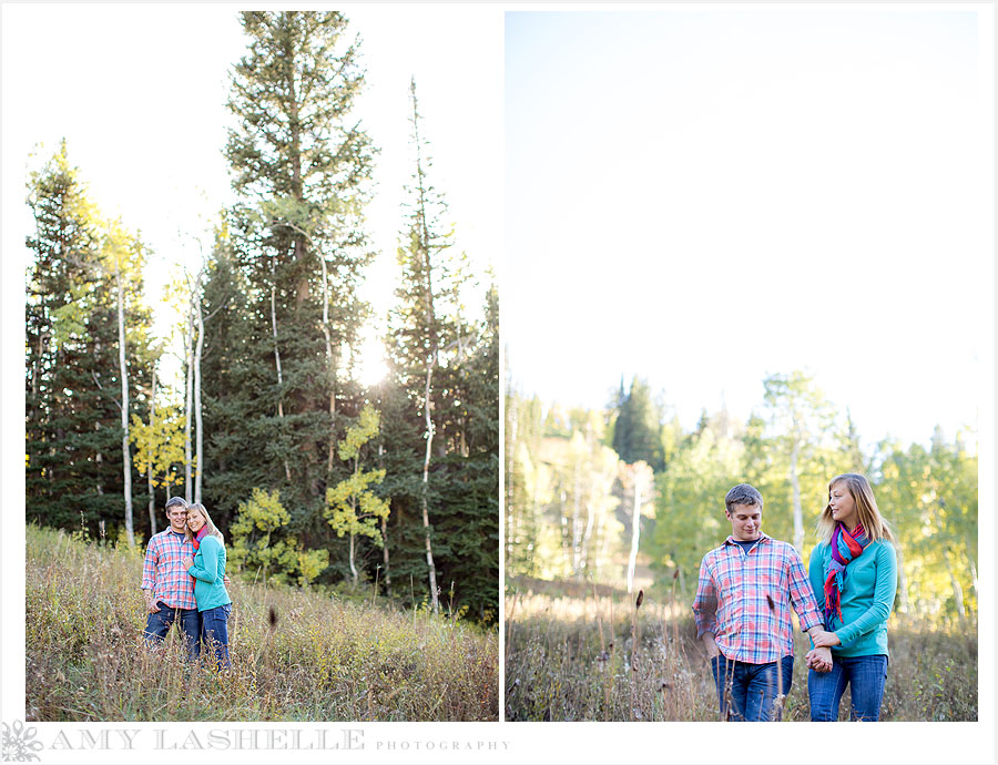 Snowbird Resort Engagement Wedding >> Amy Lashelle Photography