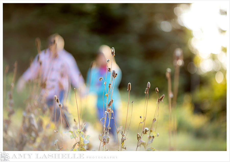 Snowbird Resort Engagement Wedding >> Amy Lashelle Photography