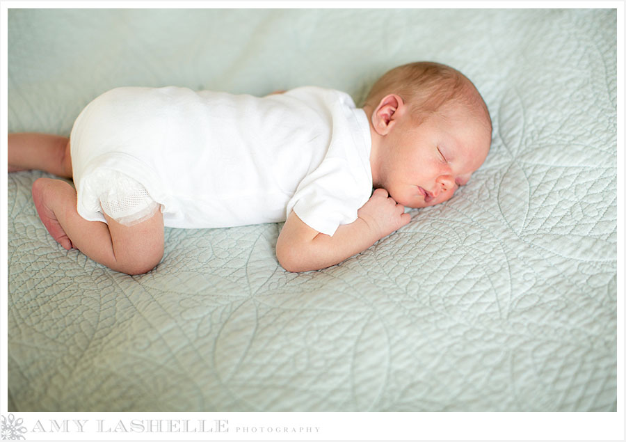 Park City Family Photographer