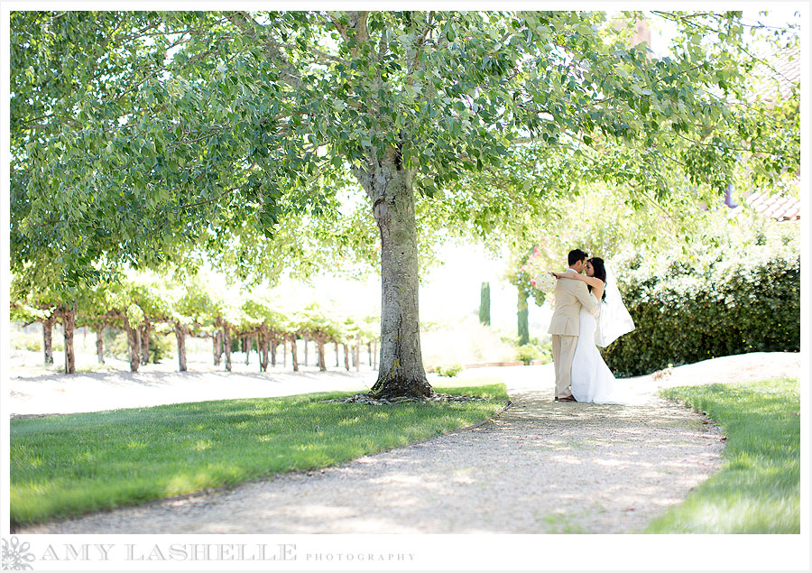 Napa Valley Summer Wedding