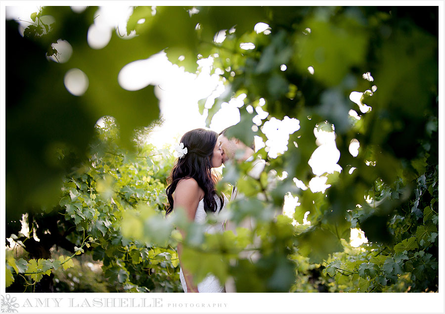 Napa Valley Summer Wedding