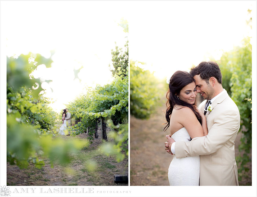 Napa Valley Summer Wedding