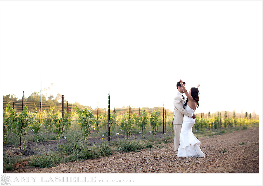 Napa Valley Summer Wedding