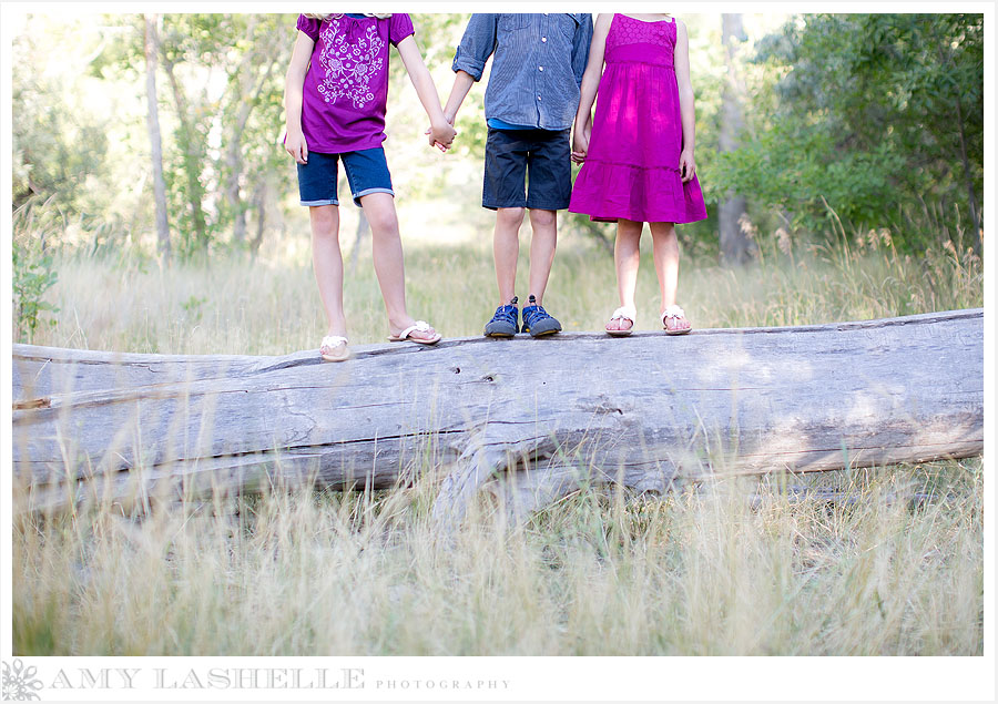 Neffs Canyon Family Photographer