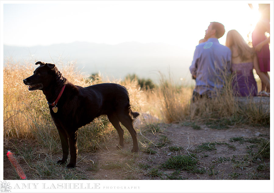 Neffs Canyon Family Photographer