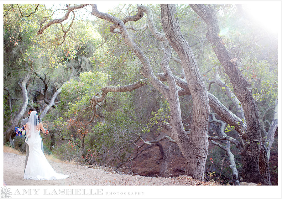 san luis obispo wedding photographer